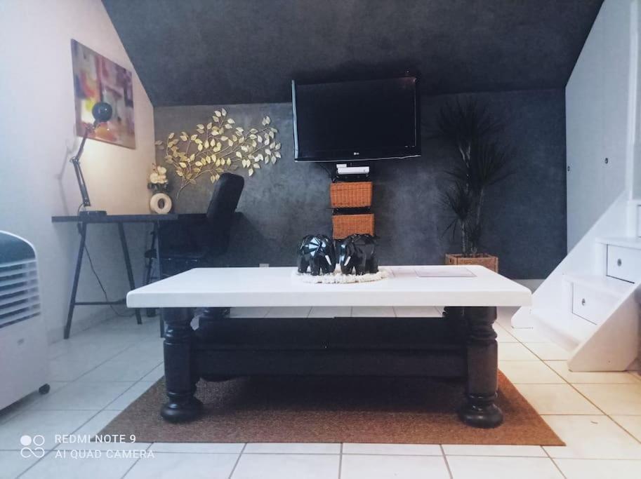 Le Duplex Decontracte Apartment Fleury les Aubrais Bagian luar foto