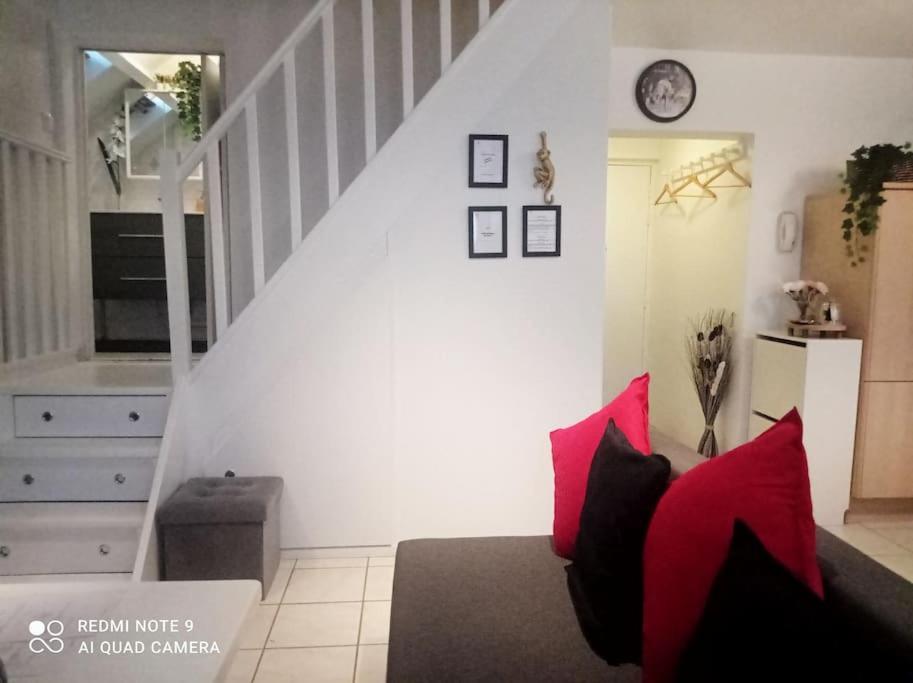 Le Duplex Decontracte Apartment Fleury les Aubrais Bagian luar foto